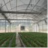 Buy cheap Commercial Greenhouse Rolling Benches Transportable Breeding Nursery Seedling from wholesalers