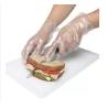 Buy cheap Biodegradable Disposable Gloves , Disposable Plastic Gloves OEM / ODM Available from wholesalers