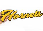 10 Inch Width Team Letterman Patches Embroidery For Athletic Jackets