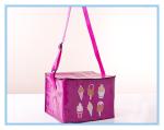 Food 6 Can Insulated Cooler Bags Laminated Pp Woven Outdoor Fitness With