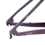 PREDATOR Pro 29 Inch Full Suspension Mountain Bike Frame XC Holographic
