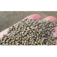 Buy cheap 2 - 3mm Size Natural Agricultural Products Gray Perilla Seeds For Oil product