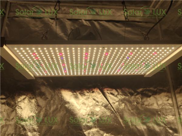 Buy cheap Horticulture Lighting 240Watts Quantum Board Led Grow Light from wholesalers