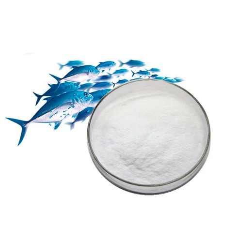 24 Months Shelf Life Cosmetic Grade Pure Collagen Powder For Collagen Regeneration