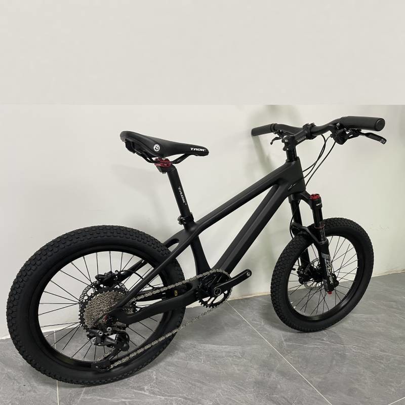 24er Kids Sports Bike Full Carbon Childrens Mountain Bike Shimano Group Set