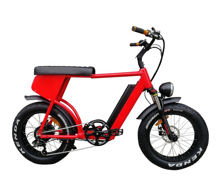 73 Style 20 Inch Fat Tire Electric Mountain Bike 48V 500W/750W/1000W Electric City Bike With Long Seat Electric Fat Bike