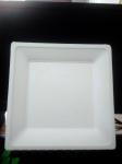 Different shape available for disposable sugarcane pulp fruit or food plate