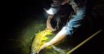 Flashlight Underwater Diving light High Lumens CRI90 36 28 RGB COB LED