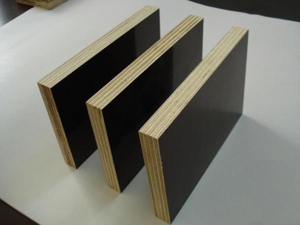 Film faced plywood price for kuwait from Qingdao China port, construction wood