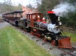 72 Seats Round Trip Train Rides Ride On Trains For Adults 2300kg Weight