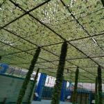 Outdoor Camouflage Net Shade Custom Sun Shade Hunting Camo Netting Tarp