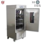 Stainless Stee Vacuum Laboratory Drying Oven 620l With Double Layer Glass Door