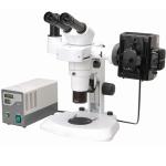 Buy cheap Parallel Gem Stereo Optical Microscope Transmitted Light Microscopes Rohs A23.1004 from wholesalers