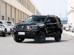 385Nm 185KW 252Ps 4WD 5 Seat 5 Door 2.0T Tank 400 SUV Petrol Fuel New Car
