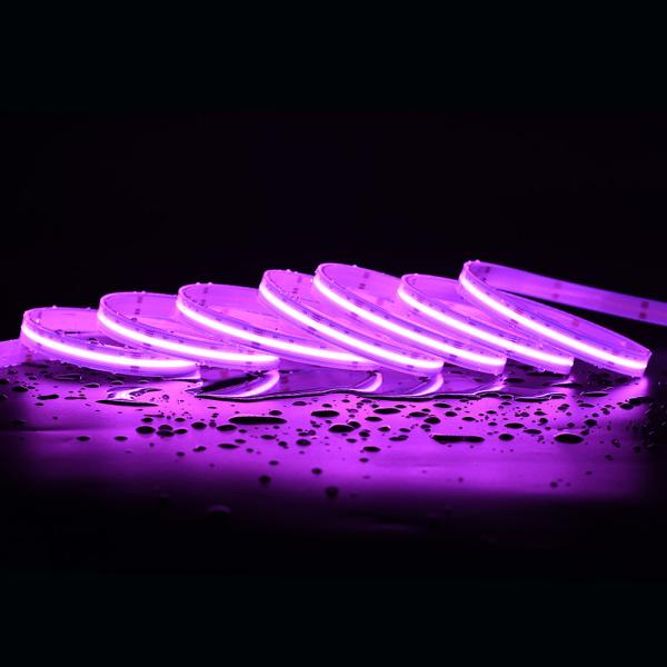 Led strip light 16w high quality 3M tape colorful smart 5m 12v 24v rgbw cob led