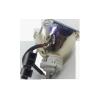 Buy cheap VT480 VT490 VT491 VT495 VT595 VT695 NEC Projector Bulbs from wholesalers
