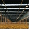 Buy cheap Black Curtain Rolling Blackout Plastic Greenhouse Breathable Auto Light Dep from wholesalers
