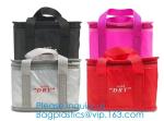 Cooler Bag Food Bags, Lunch Thermal Cooler Bag,Thermal Fabric For Isothermal