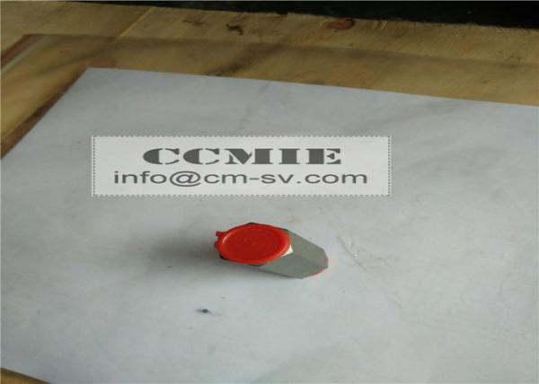 Buy cheap XCMG Anti Explosion Valve Truck Crane Parts SQ10ZK4Q CE / ROHS / FCC from wholesalers