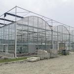 Hydroponics Tomato Cucumber Flower Film Arch Automatic Multispan Glass