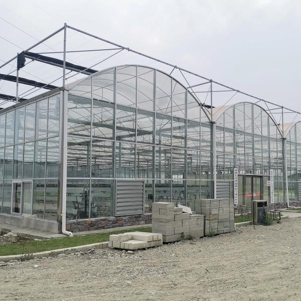 Hydroponics Tomato Cucumber Flower Film Arch Automatic Multispan Glass