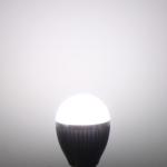 6W LED new bulb