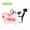 Buy cheap Dog Tools Pet Products Grooming Tools Fashionable Profession Dog Hair Brush Pet Bath Brush Set from wholesalers