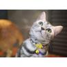 Buy cheap HiDREAM Breakaway Safe Cat Collars Sublimation Printed Xs Kitten Collar from wholesalers