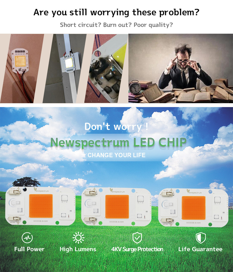 15W Led Module 6500k