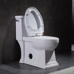 Ceramic Ada One Piece Skirted Toilet Washroom Water Closet Compact Elongated