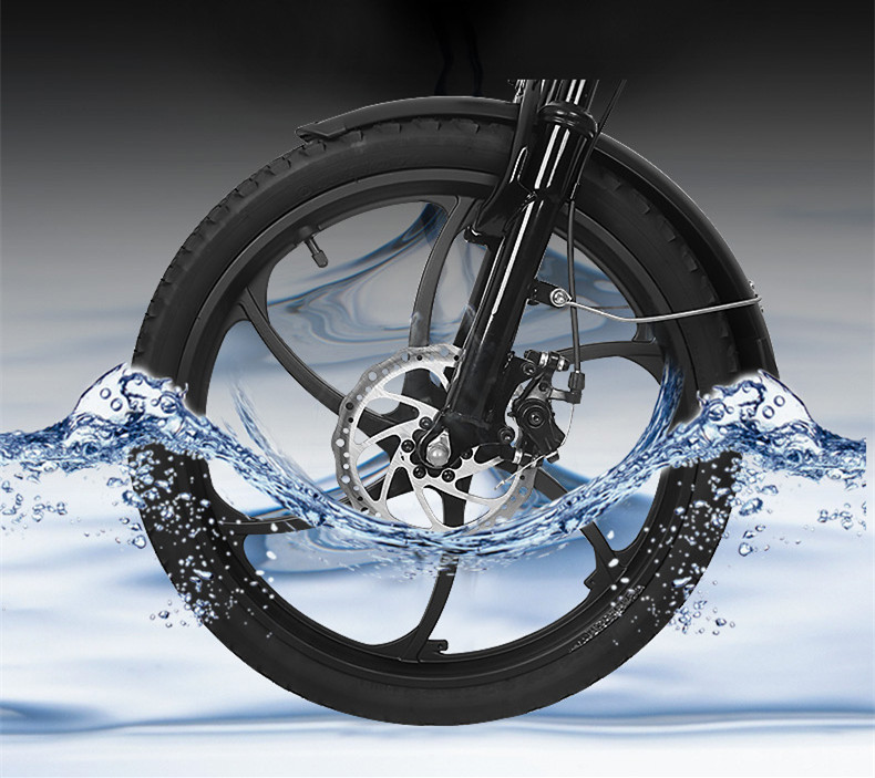 36V Electric Folding Bike 250W Rear Hub Motor Electric Bike 30-50Km/h Max Speed