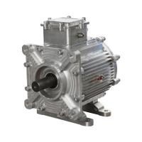 Buy cheap Permanent Magnet 8 pole AC 110KW 2500RPM Steam Turbine Motor product