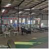 Buy cheap Customized Activated Carbon Stone Removing Machine High Productivity from wholesalers