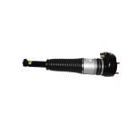 Audi A6 C7 2010-2017 Air Suspension Shock Rear Left Damper 4H6616001F