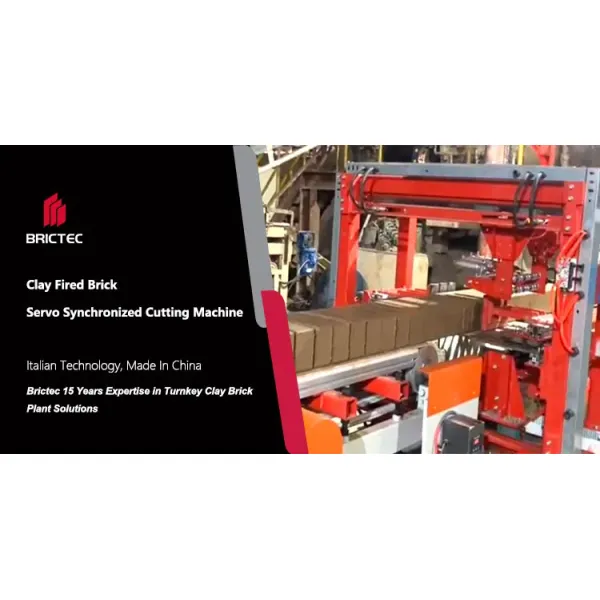 Dust-Free Brick Cutting Solution - PLC Controlled for Hollow/Solid Brick Synchronized Cutting