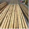 Buy cheap Wholesale Price Natural Moss Plant Pole Moss Stick For Climbing Plants Moss Poles Support from wholesalers