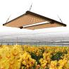 Buy cheap 650w Hydroponic 4x4 LED Grow Light For Cannabis Growing from wholesalers