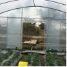 Buy cheap 6m Agricultural Greenhouse Polyethylene Film Greenhouse For Flower Cultivation from wholesalers