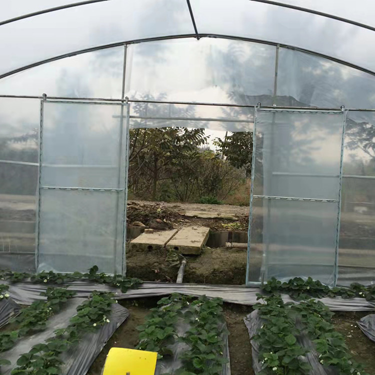 Large Tunnel Ground Polyethylene Film Greenhouse Customized For Tomato