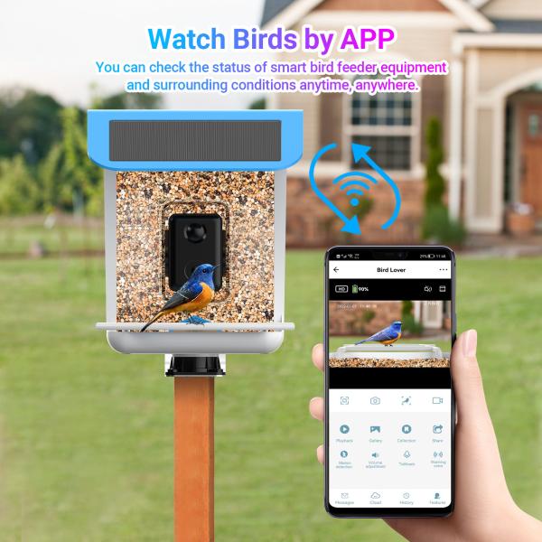 Buy cheap Automatic Bird Watch Camera Auto Capture Videos Pictures Ai Identify Birdcam Smart Bird House Feeder from wholesalers