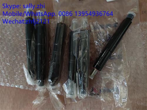 SDLG injector 4110000991004 /13053066 for Weichai Deutz TD226B WP6G125E22,