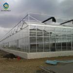 Shading System 6.0m Multi Span Greenhouse For Tomatoes