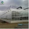 Buy cheap 120km/H Agricultural 9.6m Multi Span Glass Greenhouses from wholesalers