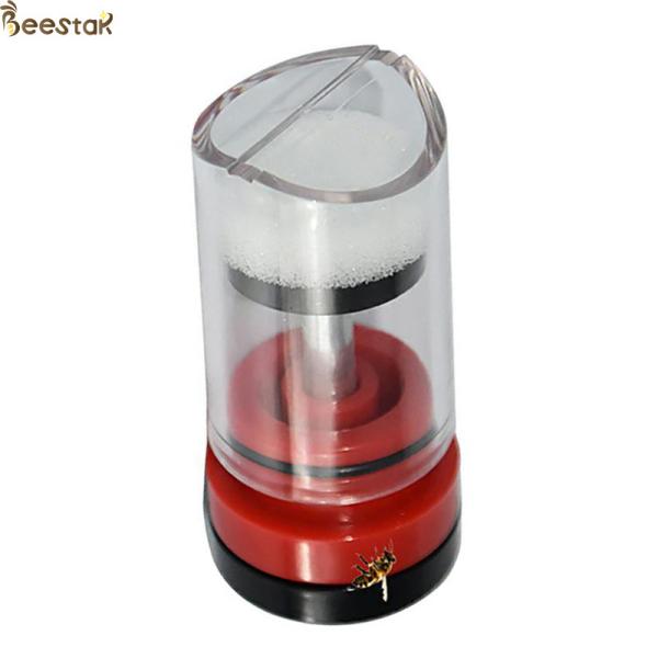 Buy cheap Queen Bee Marker Red Transparent Mark Plastic Box Queen Rearing from wholesalers