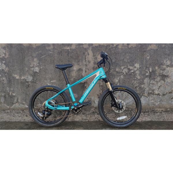 Buy cheap 20 Inch Children Bicycle With Suspension Fork And Carbon Fiber Frame Weighs Only 11kg from wholesalers