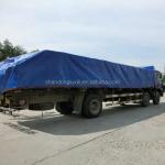 Double Waterproof Blue Plain Cover PE Tarpaulin for Truck Storage Customized
