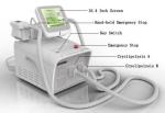 Hot sale cryolipolysis slimming machine/ cryolipolysis machine portable /