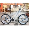 Buy cheap Integral Wheel Mountain Bike from wholesalers