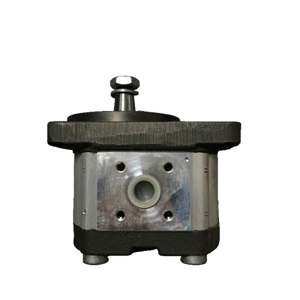 Buy cheap Bosch Rexroth 0510325006 Gear Pump for High-Efficiency Industrial Applications from wholesalers