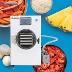 Lanphan Home Strawberry White Vacuum Freeze drying Machine With Vacuum Pump Or